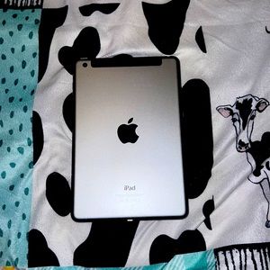 iPad mini